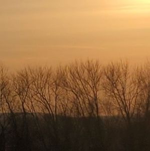 Meet your Posher, Anne